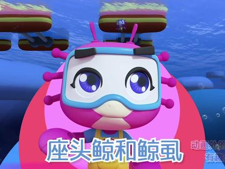 看起来小小的鲸虱本事可真不小呢!@抖音小助手 #科普知识 #暑假充电计划 #萌知计划