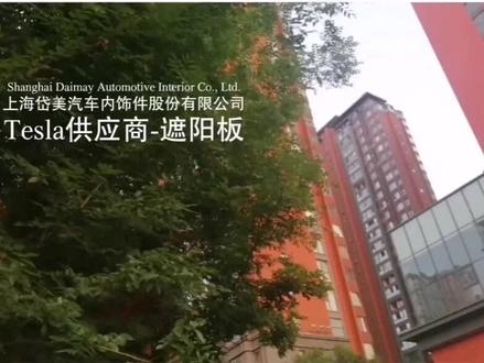 Tesla供应商-岱美汽车内饰8677人-人均月赚6281元-日赚179万元 #特斯拉供应商 #tesla特斯拉 #遮阳板 #遮阳板收纳 #汽车内饰件厂家 #岱美股份 #岱美汽车零部件 #特斯拉供应链 #人均净利润
