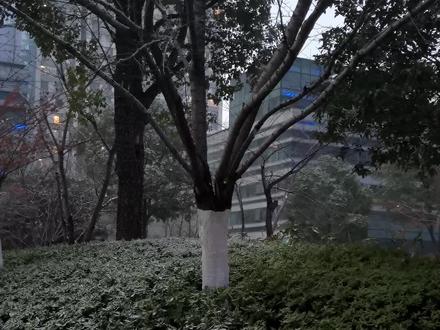 “奥雷里亚诺”他悲伤的敲下发报键“马孔多在下雨”
线路上一阵长久的沉默,忽然,机器上跳出奥雷里亚诺上校冷漠的电码。
“别犯傻了,”电码如是说道,“八月下雨很正常。”