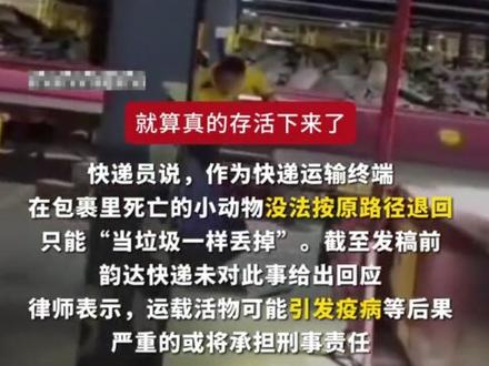 韵达快递被曝邮寄动物#韵达 #动物