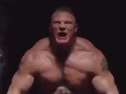 布洛克莱斯纳,WWE出场