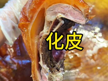 诸位,看看你烧鹅皮下白油烧透了没#烧鹅 #烧鹅制作 #美食 #小蘇总