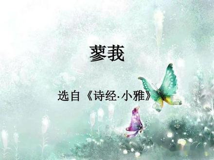 《蓼莪》是诗经中的一首孝子之歌,是悼念父母的千古名作,其中饱含不能终养父母的痛悔之情。诗分六章,前两章以莪非蒿蔚起兴,引出对父母"生我劬劳"的哀悯之情。第三、四章具体回顾父母生养我的艰辛和无微不至的关怀。第五、六章以"南山"和"飘风"起兴,通过"民"和"我"的对比,抒发不能终养父母的痛心和遗憾。子女赡养父母孝敬父母,本是中华民族的美德之一,也是人类社会的道德义务,此诗是以充沛的情感表现这一美德最早的文学作品。孩提时我们在父亲的背上长大;年少时我们在父亲的谆谆教诲中成熟;成家了我们在父亲不厌其烦的叮嘱中经营着日子,父亲爱的深沉却从不求回报,父母之恩,昊天罔极,我们怎么感谢都不足够。你陪我长大,我陪你变老,这句话愿我们都能做到。我们的一辈子从来就不是父母的一辈子,如果父母尚在,多给她们一点陪伴,别徒留遗憾。父母正在一天天的老去,别忘了常回家看看。别人会关心你飞得高不高,只有父母会关心你飞得累不累,终于有一天我们明白了,在这个世界上,爱你最深却又不表达的人就父亲。父爱如山,母爱如水,羊有跪乳之恩,鸦有反哺之义。谁言寸草心,报得三春晖。都说养儿防老,父母却难得天伦,不得不天各一方的现实湿了多少人的眼眶。父母永远离开了我,这个世上不再有人一遍遍嘱咐我早点回家,期盼我吃饱穿暖了,父母在人生尚有来处,父母去人生只剩归途,别等到树欲静而风不止,子欲养而亲不待时,空留遗憾,感恩父母,孝敬父母要趁早。