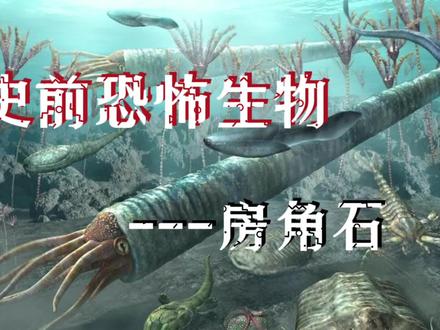 史前恐怖生物---房角石