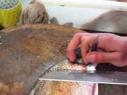 一口气带你认识26种方便又快捷的切法!(合集)#切法 #切菜的刀法与技巧 #生活小妙招 #科普 #涨知识