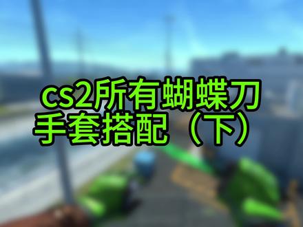 cs2蝴蝶刀搭配手套(下) #cs2