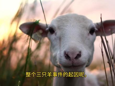 随便聊聊三只羊的整个事件来龙去脉#三只羊事件