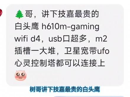 技嘉白头鹰h610 usb&pcie分布情况