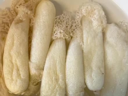 不用复杂调味就非常非常鲜! 竹荪吸满汤汁太好吃了!#美食 #在家做美食 #美食早餐 #健康美食自己做 #太好吃了