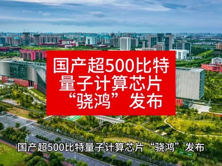 国产超500比特量子计算芯片“骁鸿”发布 #量子芯片