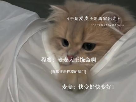 麦麦就是天使小猫!! #于是麦麦决定离家出走 #于是麦麦决定离家出走广播剧 #猫耳FM