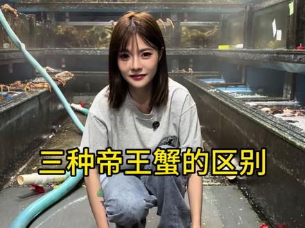 三种帝王蟹的区别(详情版) 红帝王蟹-耐养。蓝帝王蟹-性价比高。棕帝王蟹-价格便宜。具体要怎么挑选帝王蟹呢?#海鲜 #海鲜美食 #海鲜水产 #帝王蟹 #海鲜自助