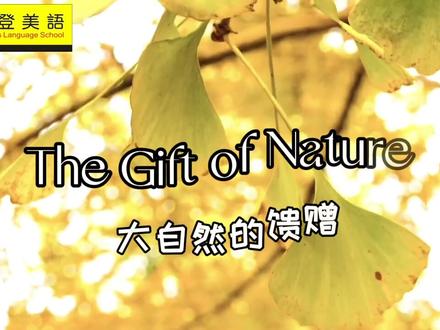 #创意手工 #少儿英语
The Gift of Nature!
银杏叶黄的季节,感受来自大自然的馈赠~