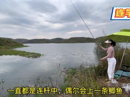 #钓鱼人 #钓鱼 #小艾爱钓鱼 #2022dou来钓鱼 #秋天大家dou来钓大鱼 贵阳居然有罗非鱼的地方?你们知道吗?