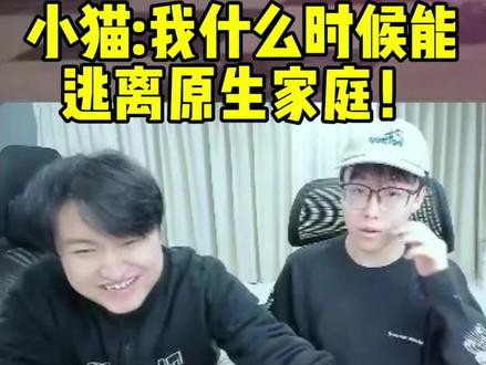 小猫什么时候能逃离原生家庭!#陈泽 #陈志涛 #陈泽黑白 #陈泽切片 #原生家庭