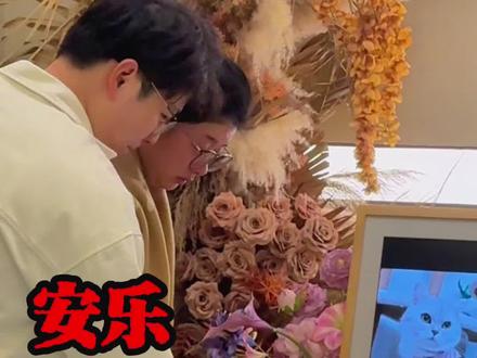 他们安乐了他们爱情💑的见证者.#上海陪伴记宠物生命纪念馆 #陪伴记宠物生命纪念馆 #宠物善终 #上海宠物殡葬 #上海宠物