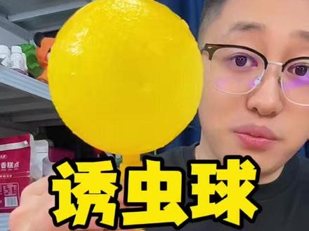 家用蚊虫诱虫球,夏天到了蚊虫多的一定安排上!