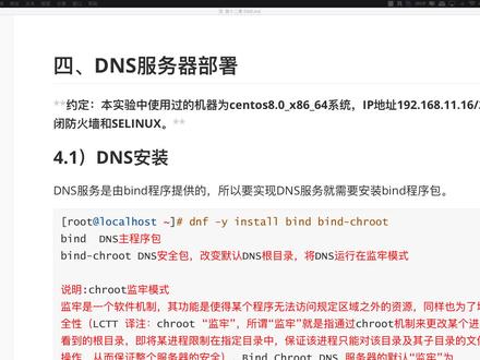 89 DNS-安装和配置说明