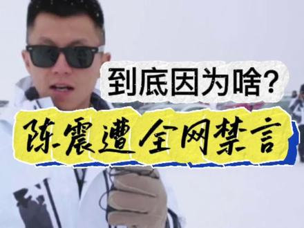 陈震遭全网禁言,到底为啥?是否过于严厉?#陈震
