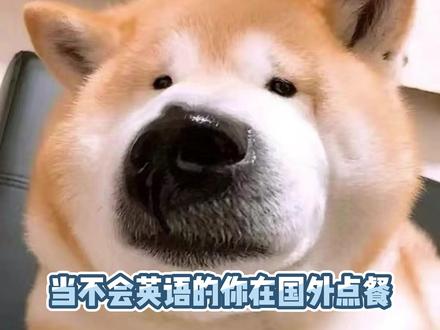弱者适应环境,强者逼环境适应自己#国外生活 #英语