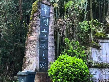 重庆大山深处发现古墓之乡,竟藏了100多座古墓。被称为中国古墓第一村!