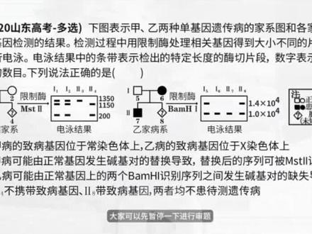 高考山东-遗传题讲解