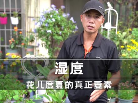 湿度,花儿度夏的真正要素,湿度够随便晒都没事