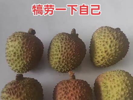 就是这么任性咋的?#荔枝型榴莲