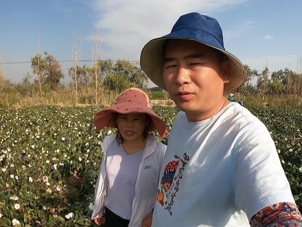 和媳妇比赛拾棉花,谁捡的多就满足对方一个小要求,猜猜最后谁赢