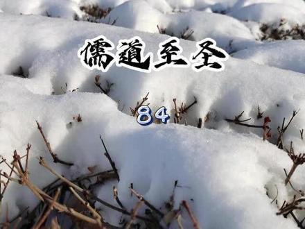 #小说
儒道至圣84