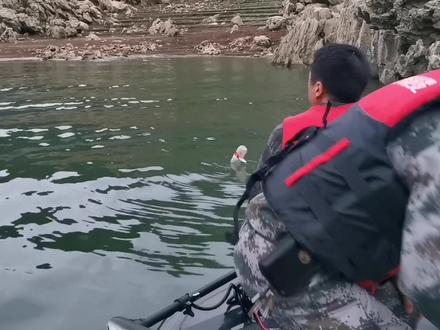 4月18日晚17时20分至20时40分,万峰湖夜间巡逻队在坡怀、吉隆堡巡查,清理大网8张#巩固整治。