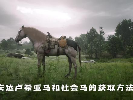 猛男粉和社会马的获取方法 #游戏精彩时刻 #steam游戏 #单机游戏 #荒野大镖客2
