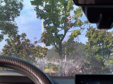 雨刷刮不干净时或者有异响时,为了安全起见,就要考虑更换雨刮器了,更换也很简单,几分钟搞定#长安#雨刮器#雨刷#雨刮器更换 #每天一个用车知识