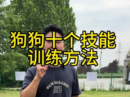 狗狗十个简单技能训练方法 #训犬 #训犬学校 #狗狗