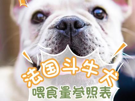 法国斗牛犬喂食量参照表,一天吃多少狗粮#狗狗 #宠物知识 #萌宠 #宠物 #萌宠好物 #狗狗 #宠物知识 #萌宠 #宠物 #萌宠好物 #狗粮 #宠率狗粮