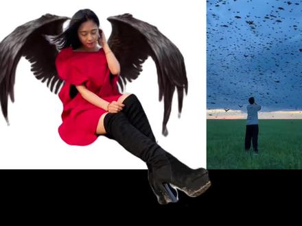 李里唤鸟术教程#这就是传说中的唤鸟术吗 #剪映 #李里 #唤鸟术#抖音官方给我发了个仔