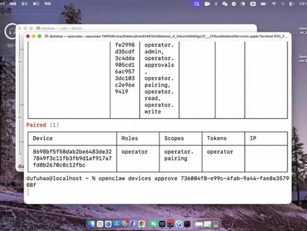 OpenClaw+DeepSeek MacOS系统安装教程 deepseek 钥匙的获取和node.js安装地址都在文档中
#openclaw #deepseek #养龙虾