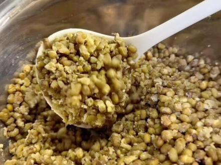 跟大倩儿学做电饭煲煮绿豆, 夏日炎炎,最解暑的就是绿豆了,出沙绿豆解锁各种吃法。可以直接吃,可以做绿豆冰,也可以做绿豆沙牛乳。
生活技能又多一项
#厚皮橙 #大倩儿 #与辉同行 #绿豆沙牛乳