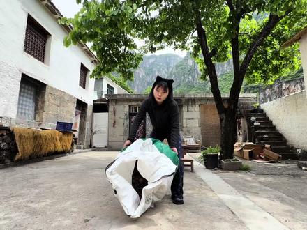 一个阳光明媚的午后 36岁的崔女士 带着两个好朋友 兴致勃勃的上山捡松塔 意外收获了一堆淫羊藿 心情格外美丽#山里有个院 #我的乡村生活 #淫羊藿 #治愈