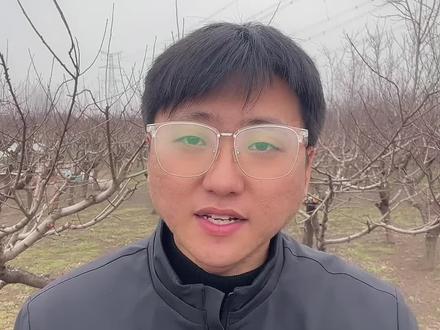 这食盐居然有这么大的用处#除草 #果园除草 #种植小技巧 #死草烂根不返青 #服务三农支持三农