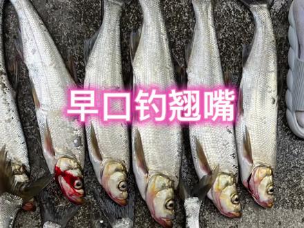 他人不知其中意,脱离世俗车马喧,早口路亚翘嘴分享!#原来钓鱼才是抖音运动顶流 #钓鱼的乐趣只有钓鱼人懂 #路亚 #钓鱼 #路亚野钓