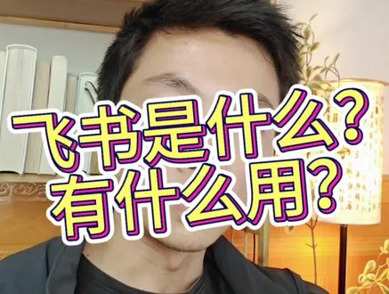 飞书是你第一个要学的AI应用 #学习AI工具 #飞书是什么 #飞书的优势 #普通人学ai