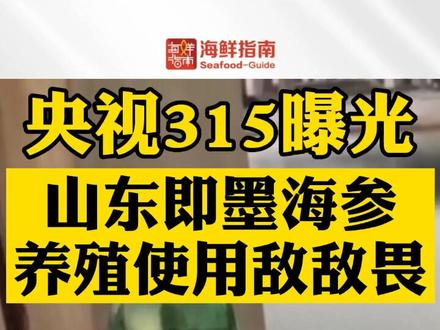 央视315曝光:山东即墨海参养殖使用敌敌畏!#315 #海鲜市场 #海参 #食品安全