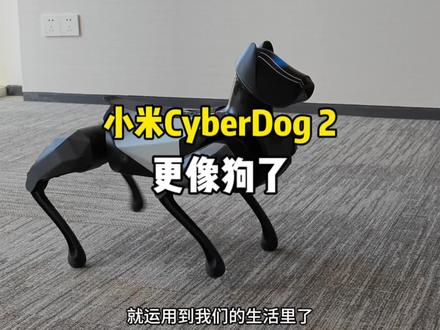小米CyberDog2铁蛋二代越来越像只真的狗狗了#小米 #cyberdog