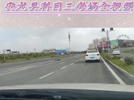 科目三全视频