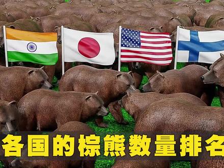 2023年,世界各国的棕熊数量排名