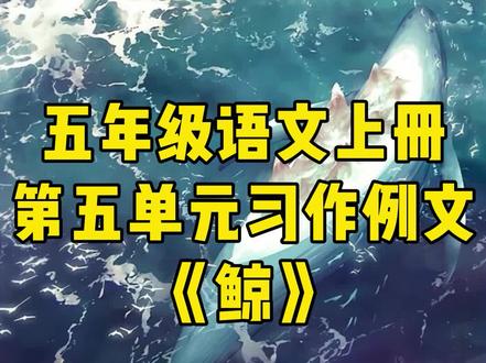#五年级语文 #第五单元 #习作范文 《鲸》作文范文四篇,转给孩子参考#作文 #作文范文 #优秀作文 #鲸鱼