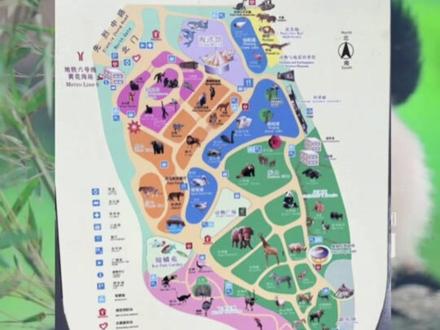 11月13日(报道),广东广州,戳戳戳!全运会门票隐藏福利来了,#可凭全运会门票免费游广州动物园,网友:广州文旅走心了(上游新闻记者 李坐廷)#2025全运会 #广州动物园