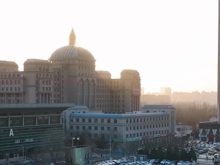 2026年春节,整整7天,顺泊管辖的246个停车场免费开放!赶紧@你那个总找不到车位的朋友,视频最后有免费停车场名单!#顺泊焕新 #顺泊暖心事 #银川