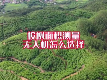 桉树有林面积测量,选择那款无人机呢?#桉树 #无人机 #测量 #面积